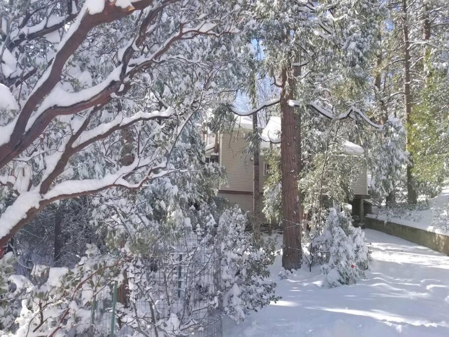 Casa De Los Arboles! Delight & Solitude Abound! Pine Cove Esterno foto