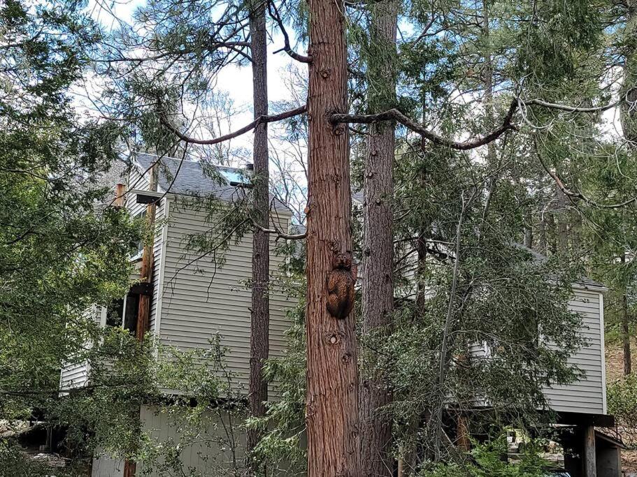 Casa De Los Arboles! Delight & Solitude Abound! Pine Cove Esterno foto